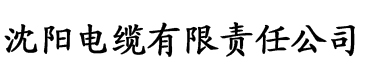 成年app软件你懂的电缆厂logo